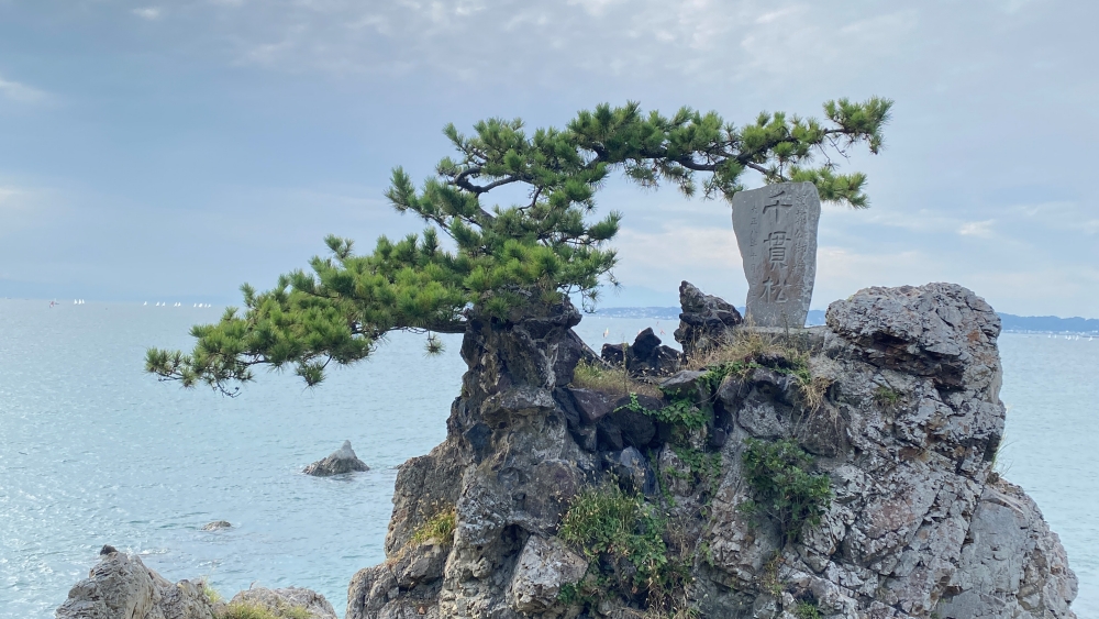 2023年日本神奈川葉山4大景點與推薦套票