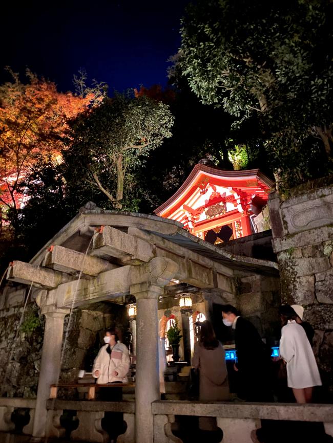 2023年日本京都清水寺夜間特別拝觀