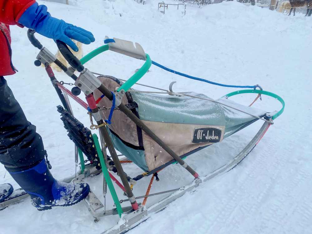 北海道狗拉雪橇體驗｜超好玩日本冬季限定活動