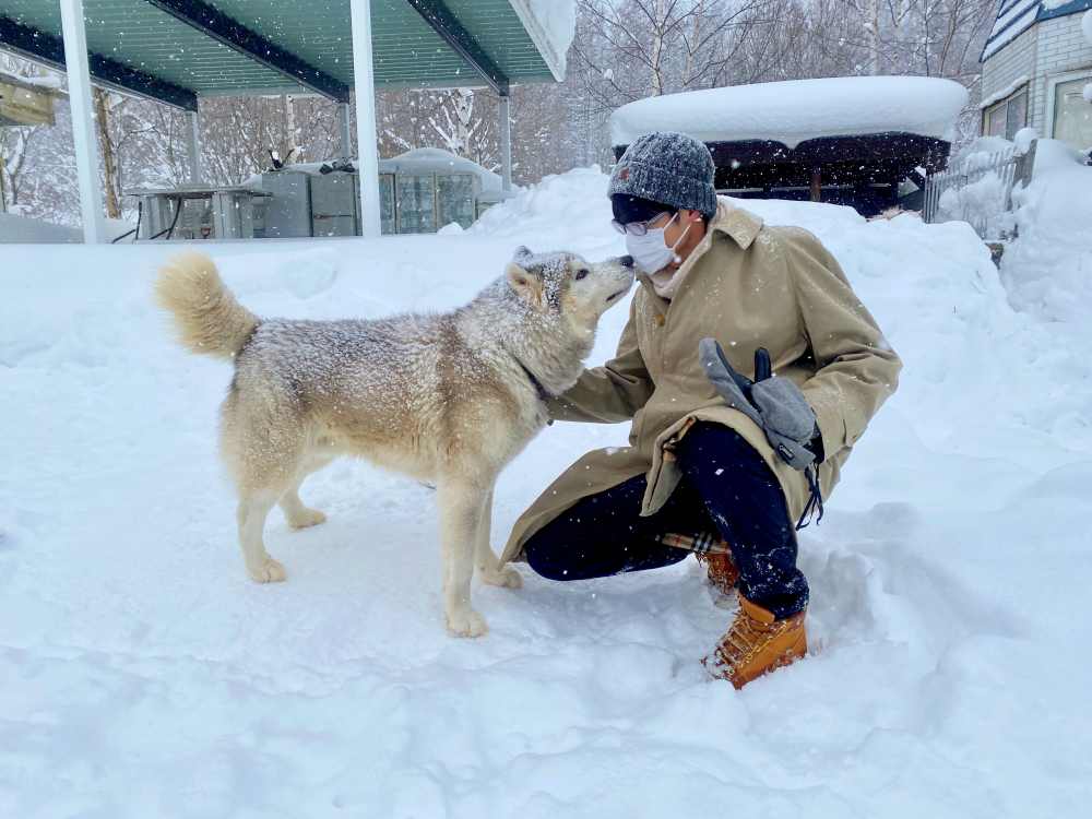 北海道狗拉雪橇體驗｜超好玩日本冬季限定活動