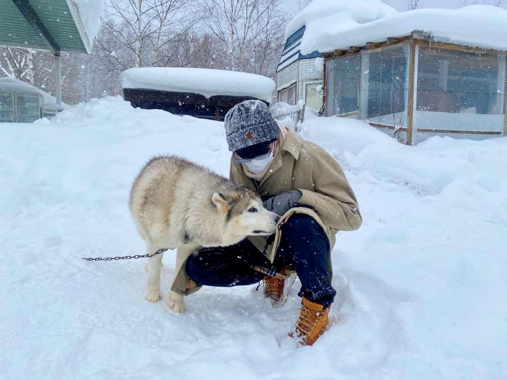 北海道狗拉雪橇體驗｜超好玩日本冬季限定活動