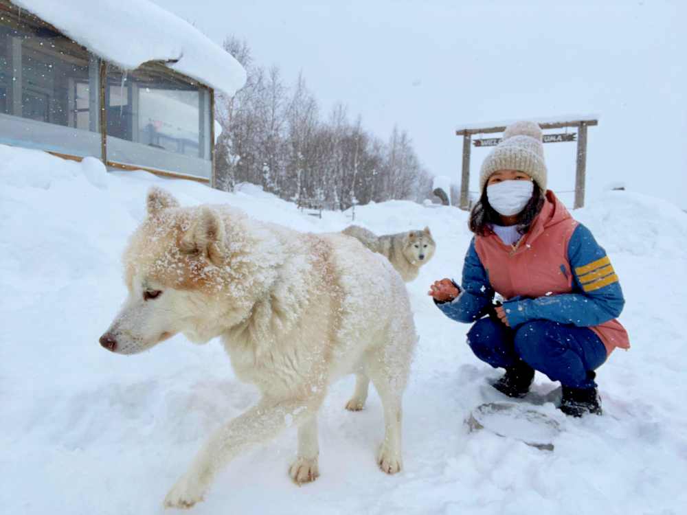 北海道狗拉雪橇體驗｜超好玩日本冬季限定活動