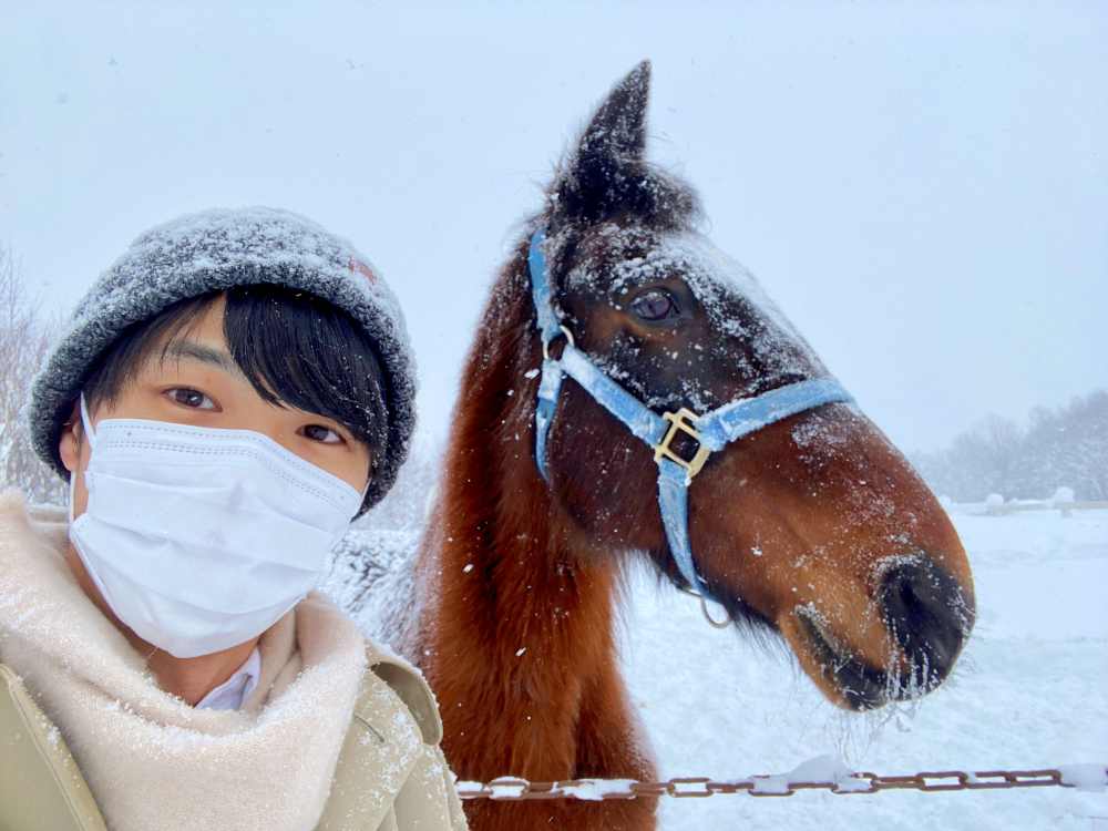 北海道狗拉雪橇體驗｜超好玩日本冬季限定活動