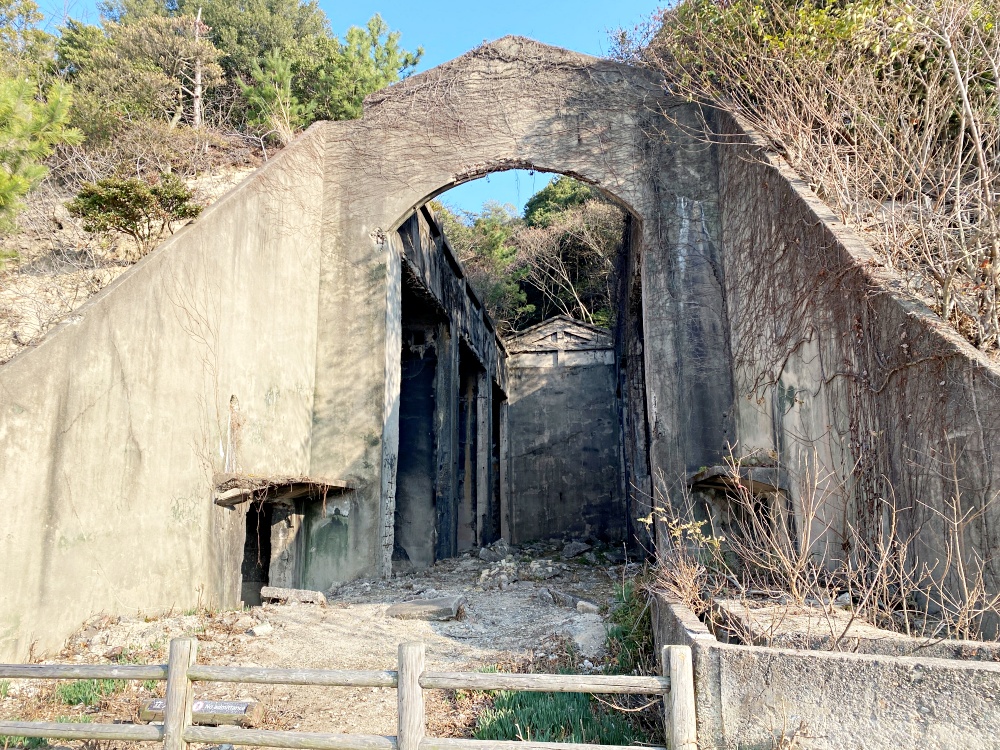 2024年日本廣島景點｜被上千隻兔子包圍療癒的兔子島