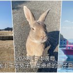 2024年日本廣島景點｜被上千隻兔子包圍療癒的兔子島