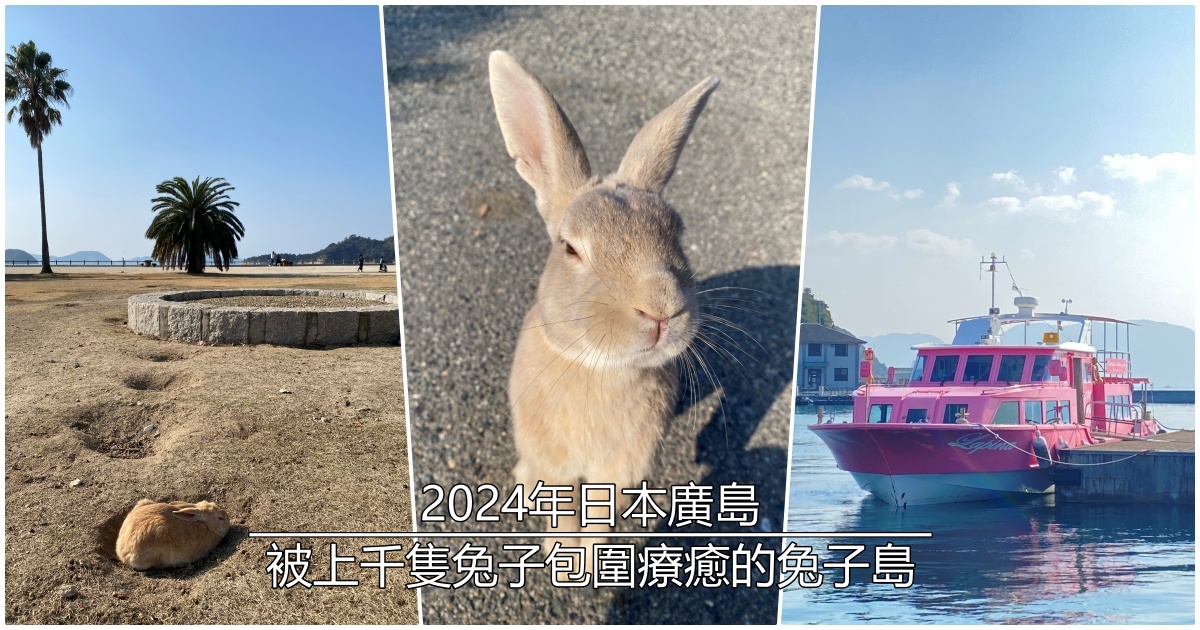 2024年日本廣島景點｜被上千隻兔子包圍療癒的兔子島