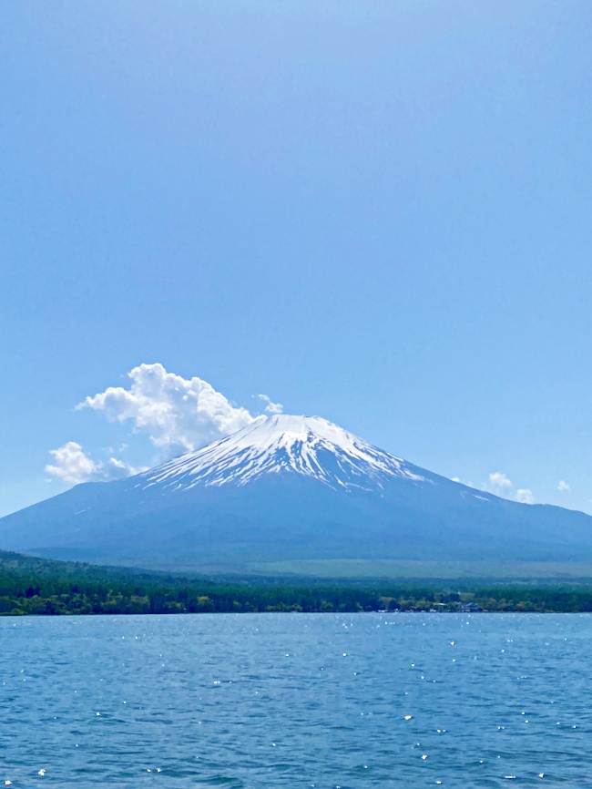 2024年富士山山中湖水陸兩用河馬巴士｜KABA BUS