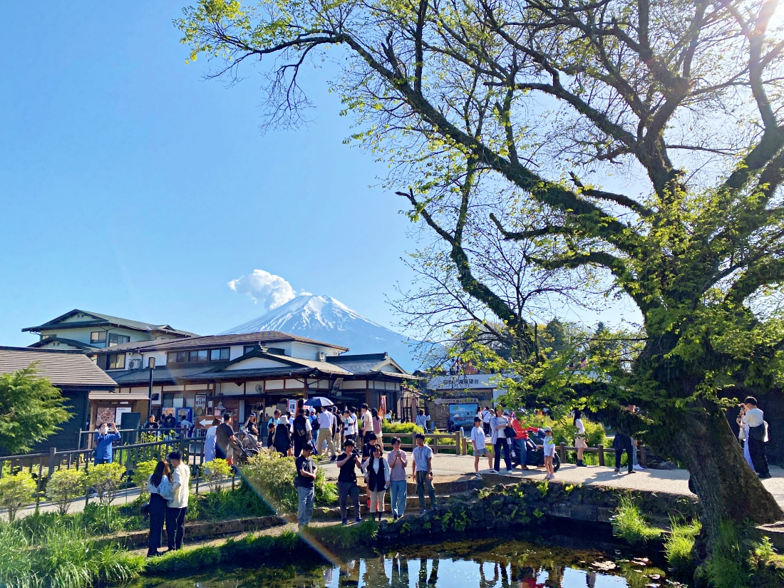 2024年富士山山中湖水陸兩用河馬巴士｜KABA BUS