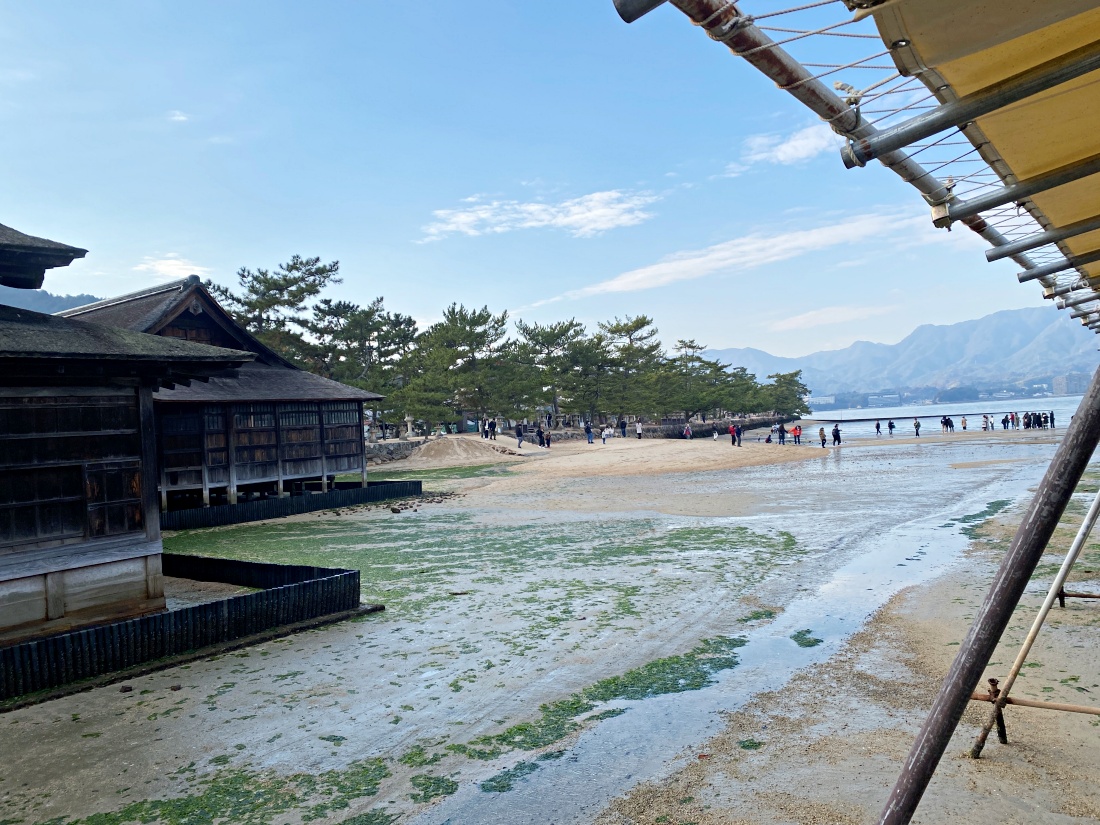 2024年廣島宮島｜世界遺產日本三景