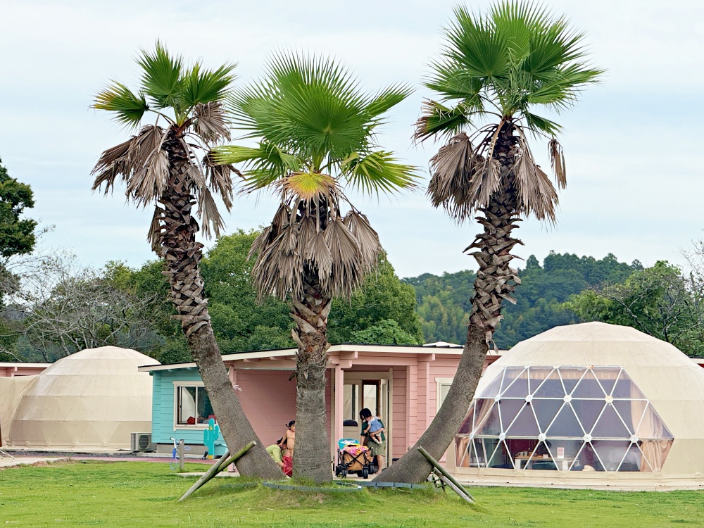 2025年東京近郊豪華露營推薦|TACO GLAMP 2025年東京近郊豪華露營推薦|TACO GLAMP
