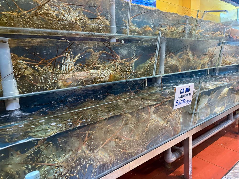 2025越南蜆港五間必吃米其林餐廳推薦