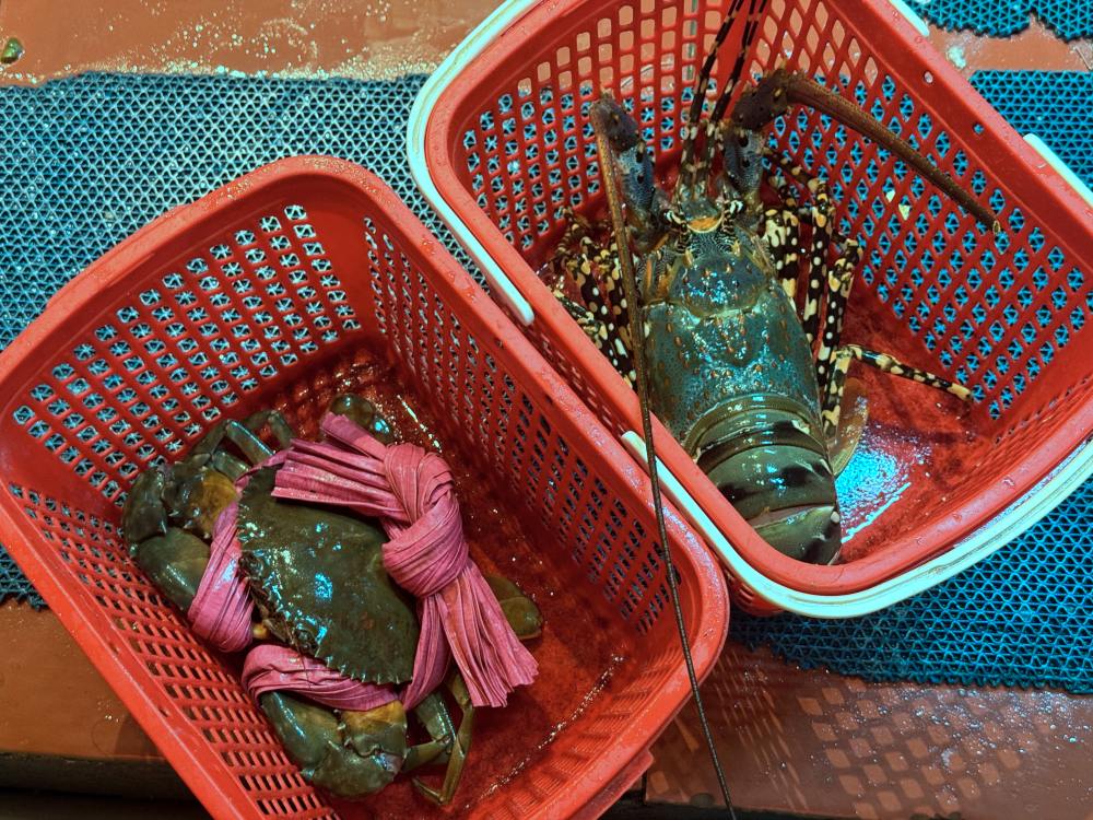 2025越南蜆港五間必吃米其林餐廳推薦