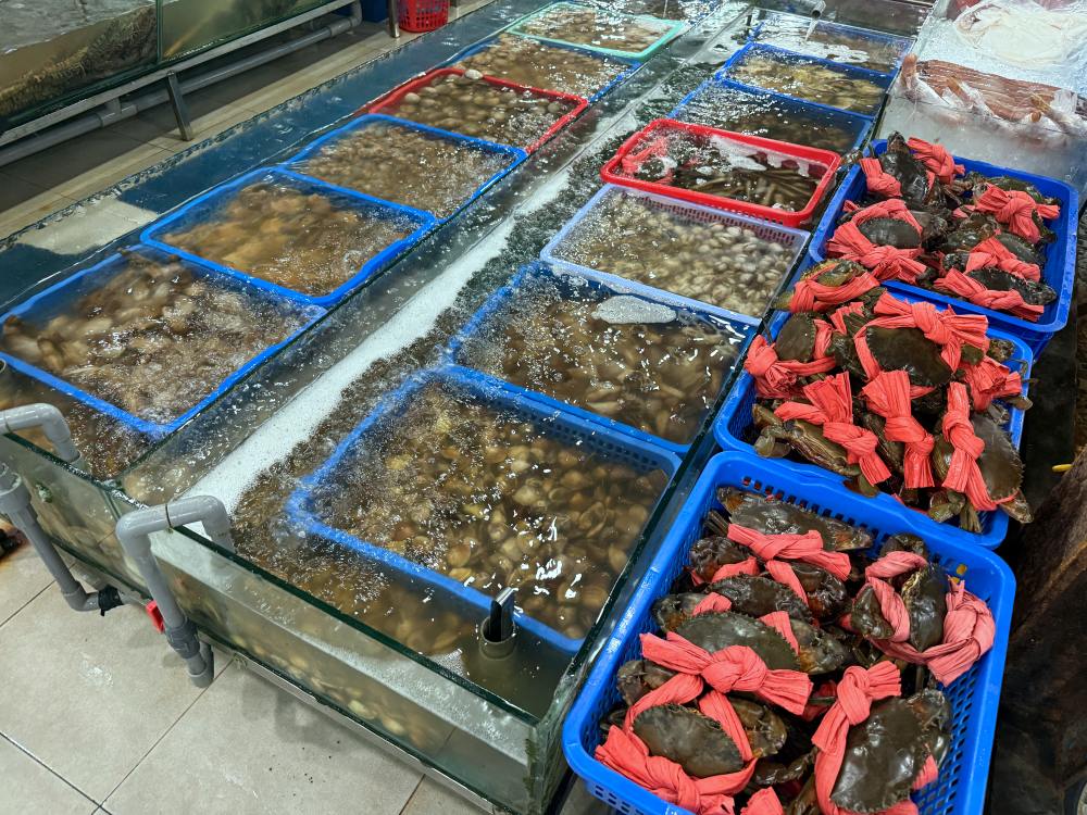 2025越南蜆港五間必吃米其林餐廳推薦